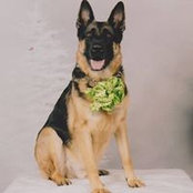Bill Lefebvre's photo