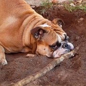 Heather Whiteside-Bressette's photo