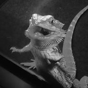 Erin Wetzel's photo