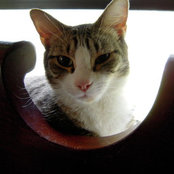 Kathy Berryman's photo