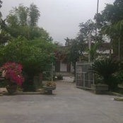 Quyen Le's photo
