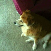 Melissa Philbeck's photo