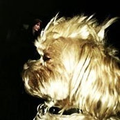 Aubrey Boogaard's photo