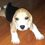 Mark Anthony's photo