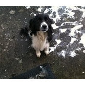 Moira Meaney's photo