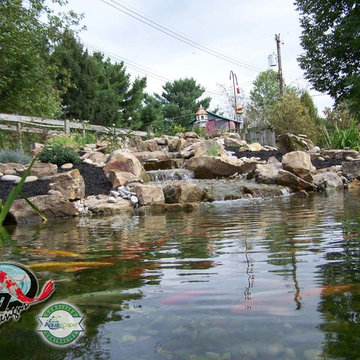 KOI Pond, Backyard Pond & Small Pond Ideas for your Kentucky Landscape