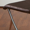 Benoite Modern Design Brown Dining Chairs, Set of 2