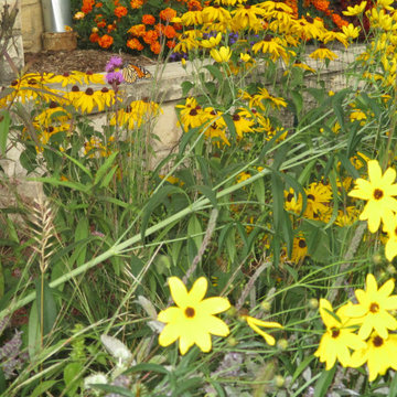 Humboldt Park Pollinator Garden