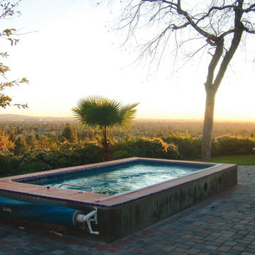Endless Pools® Performance Model