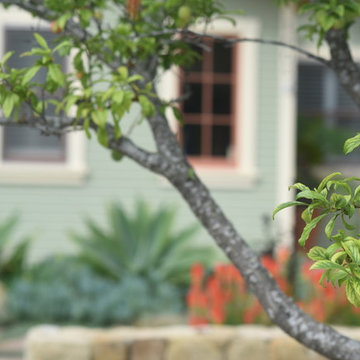 America's Best Front Yard
