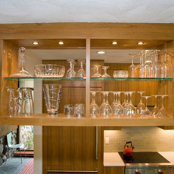 Mid-Century Modern Kitchen Rehab