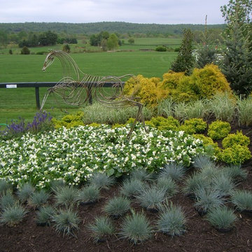 Plantings