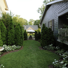 Landscape Ideas