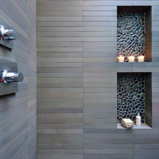 Inspiration for a modern home design remodel in San Francisco