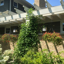 Fencing, Landscaping, Sheds and Patios