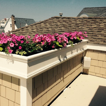 Container Gardens