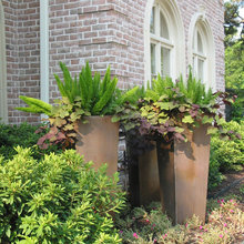 front yard