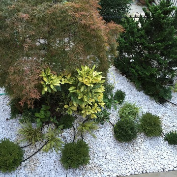 Front yard recovery in Brooklyn, NY