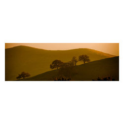 Douglas Page Photographic Arts - Golden Hills Panorama - Photographs