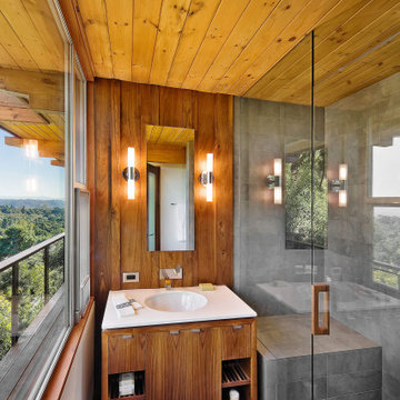 Mid-Century Modern Home