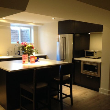 Oakville Contemporary Lower Level