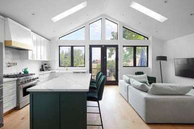 Kitchen - contemporary kitchen idea in Toronto