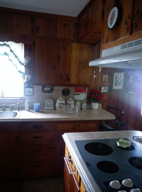 Painting Dark Knotty Pine Cabinets And Paneled Walls - Home Decorating Dilemmas Knotty Pine Kitchen Cabinets
