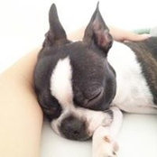 Joanna Noh's photo