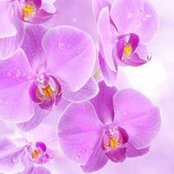 Marion Reeder's photo