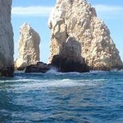 Denise Piccirello's photo