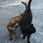 Kristen McElligatt's photo