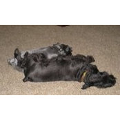 Cathy Woods's photo