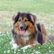 Foto von Peggy Vickers