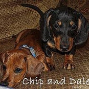 Debbie Thomas's photo