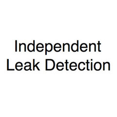 Independent Leak Detection