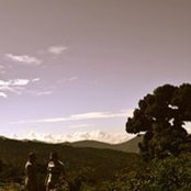 Pedro Mora's photo