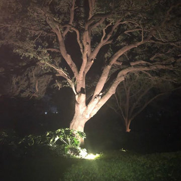 Orlando Outdoor Lighting