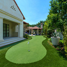 Backyard and Pool