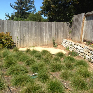 Urbanite Native Garden
