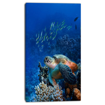 Large Sea Turtle underwater, Abstract Canvas Art Print, 16"x32"