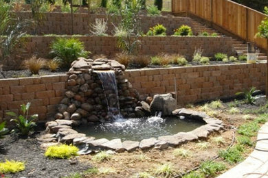 Inspiration for a landscaping in San Francisco.