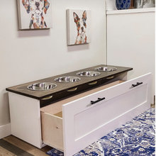 Dog Station