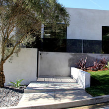 patio plantas