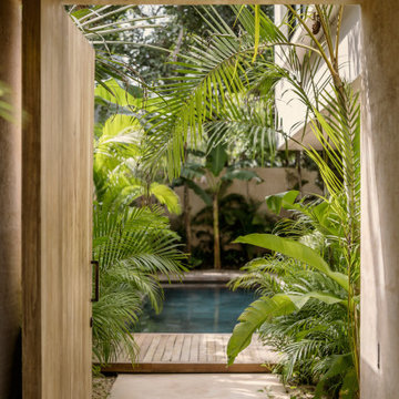 Casa Areca by CO-LAB Design Office