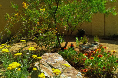 Inspiration for a southwestern landscaping in Las Vegas.