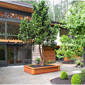 Harbinger House