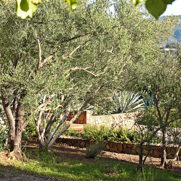 Family Compound