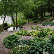 Cielito NZ - Pond/Meditation Garden