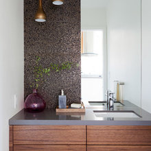Houzz Tour: MidCentury Redesign