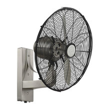 fans